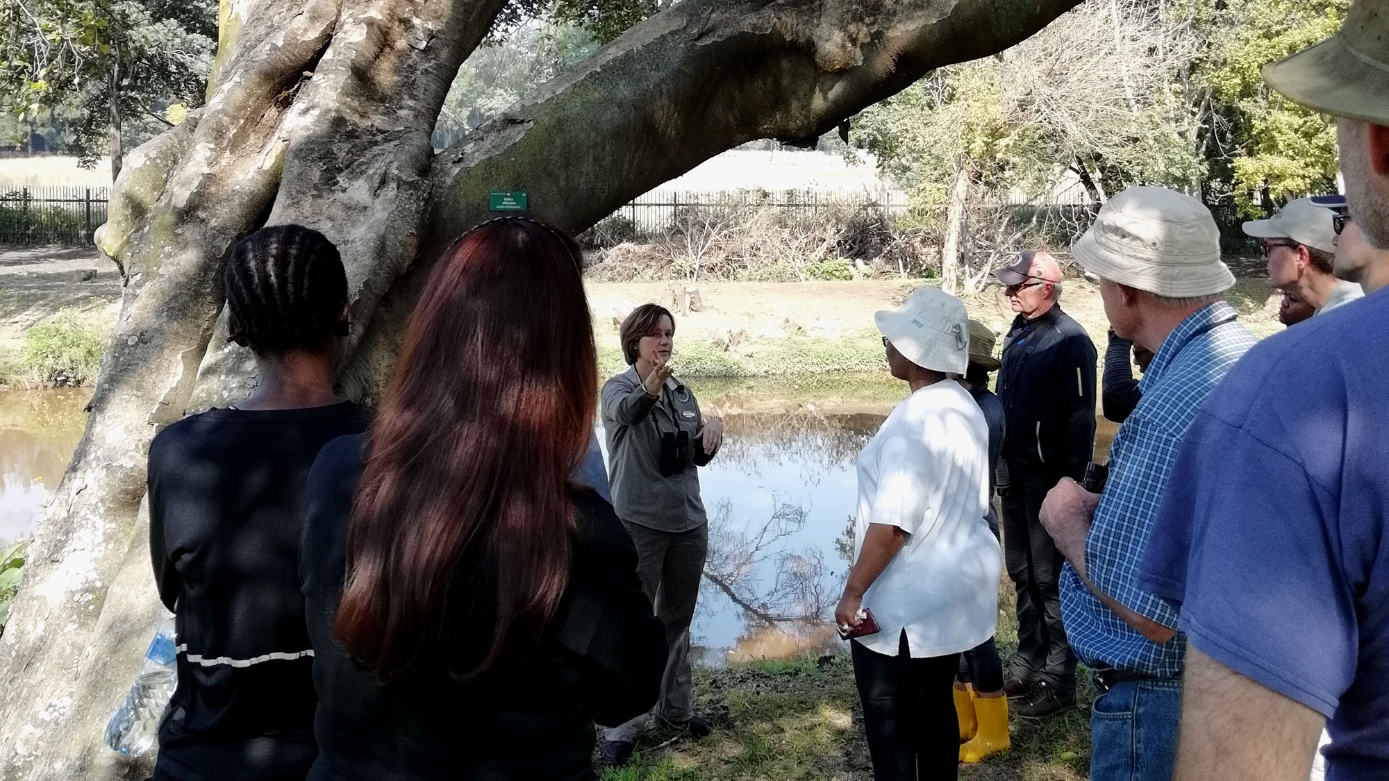 Sandspruit Tree Walk